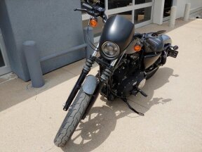 2022 Harley-Davidson Sportster Iron 883
