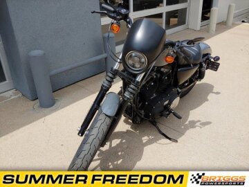 2022 Harley-Davidson Sportster Iron 883