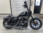 2022 Harley-Davidson Sportster Iron 883