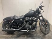 2022 Harley-Davidson Sportster Iron 883