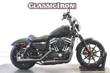 2022 Harley-Davidson Sportster Iron 883