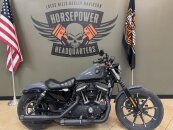 2022 Harley-Davidson Sportster Iron 883