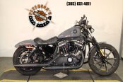 2022 Harley-Davidson Sportster Iron 883