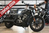 2022 Harley-Davidson Sportster Nightster