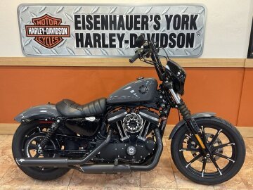 2022 Harley-Davidson Sportster Iron 883