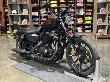 2022 Harley-Davidson Sportster Iron 883