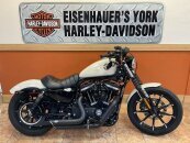 2022 Harley-Davidson Sportster Iron 883