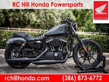 2022 Harley-Davidson Sportster Iron 883