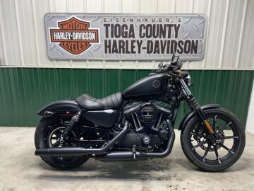 2022 Harley-Davidson Sportster Iron 883