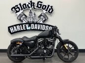 2022 Harley-Davidson Sportster Iron 883