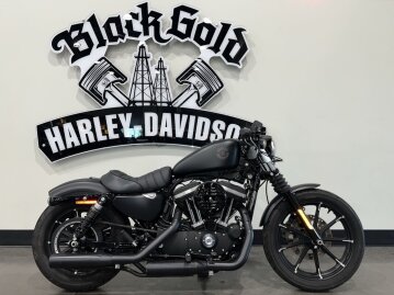 2022 Harley-Davidson Sportster Iron 883