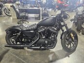 2022 Harley-Davidson Sportster Iron 883