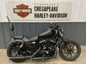 2022 Harley-Davidson Sportster Iron 883