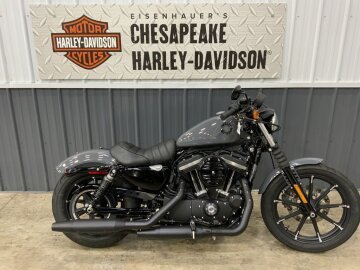 2022 Harley-Davidson Sportster Iron 883