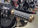 Thumbnail Photo 2 for 2022 Harley-Davidson Touring