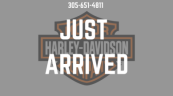 2022 Harley-Davidson Touring Street Glide Special