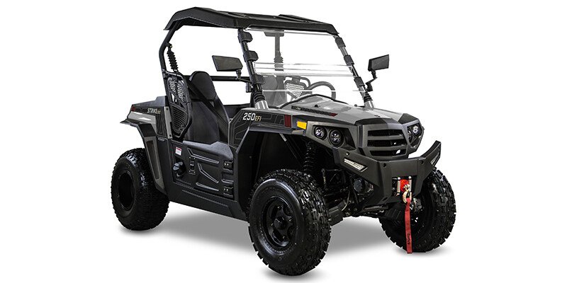 2022 Hisun Strike 250 250 specifications