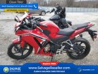 Thumbnail Photo 4 for New 2022 Honda CBR300R