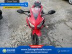 Thumbnail Photo 3 for New 2022 Honda CBR300R