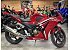 2022 Honda CBR300R ABS
