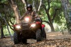 Thumbnail Photo 3 for New 2022 Honda FourTrax Foreman 4x4