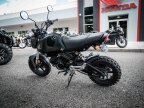 Thumbnail Photo 5 for 2022 Honda Grom