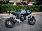 Thumbnail Photo 2 for 2022 Honda Grom