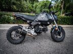 Thumbnail Photo 4 for 2022 Honda Grom