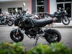 Thumbnail Photo 6 for 2022 Honda Grom