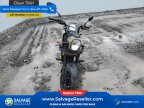 Thumbnail Photo 3 for New 2022 Honda Navi