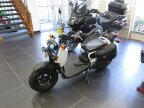 Thumbnail Photo 2 for 2022 Honda Ruckus