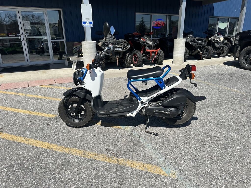 2022 Honda Ruckus
