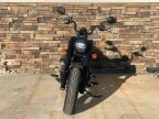Thumbnail Photo 4 for 2022 Indian Chief