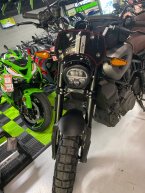 Thumbnail Photo 1 for 2022 Indian FTR 1200 Rally