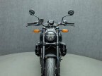 Thumbnail Photo 4 for 2022 Indian FTR 1200
