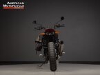 Thumbnail Photo 3 for 2022 Indian FTR 1200 Rally