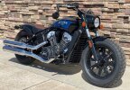 Thumbnail Photo 1 for New 2022 Indian Scout Bobber