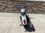 Thumbnail Photo 4 for New 2022 Indian Scout