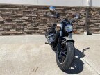 Thumbnail Photo 3 for New 2022 Indian Scout