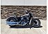 New 2022 Indian Scout