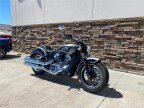 Thumbnail Photo 1 for New 2022 Indian Scout