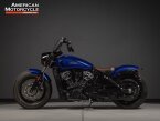 Thumbnail Photo 6 for 2022 Indian Scout