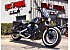 2022 Indian Scout