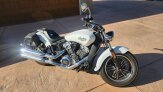 2022 Indian Scout 101 Scout