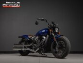 2022 Indian Scout