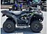 2022 Kawasaki Brute Force 300