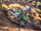 Thumbnail Photo 5 for 2022 Kawasaki KX250