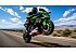 2022 Kawasaki Ninja ZX-6R