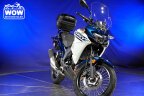 Thumbnail Photo 1 for 2022 Kawasaki Versys X-300 ABS