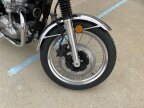 Thumbnail Photo 4 for New 2022 Kawasaki W800 ABS
